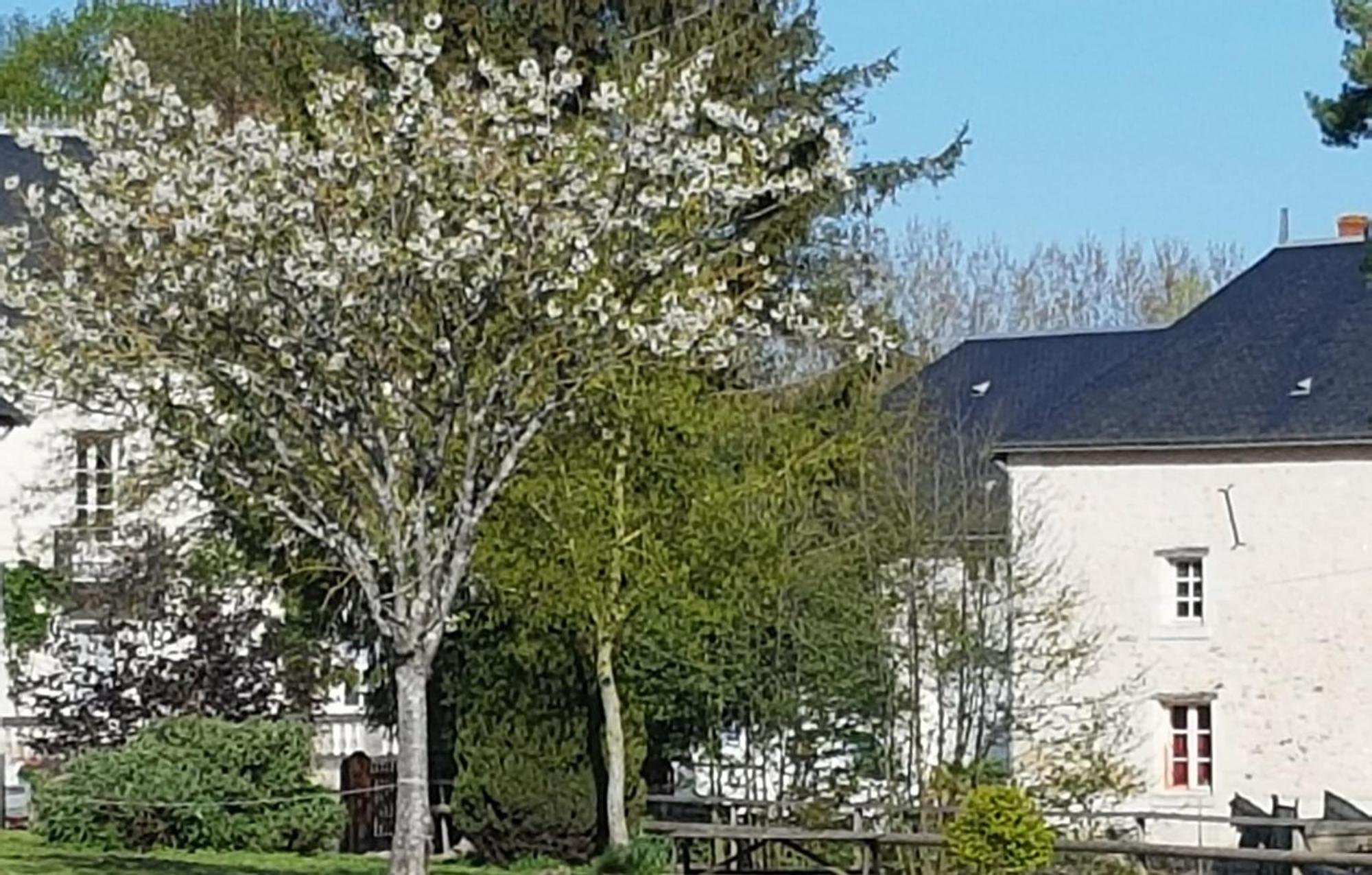 Domaine Du Moulin Neuf Aux Portes De Beauval Nouans-les-Fontaines Exterior foto